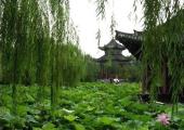 6 days (5 nights) tour in Qingdao Jinan Qufu and TaiAn pictures