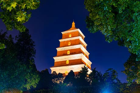 1 Day Goose pagoda