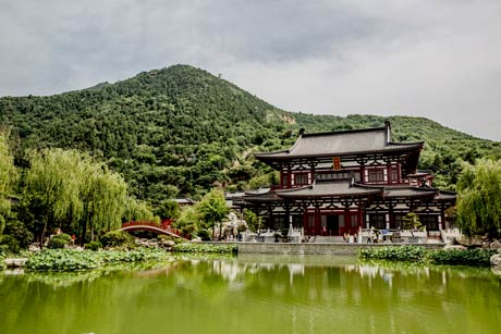 1 Day Xian City Tour